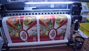 Продается широкоформатный сольвентный принтер (плоттер) Mimaki JV-33