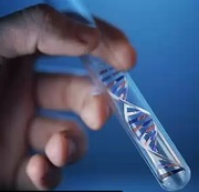 Генетическая экспертиза ДНК.